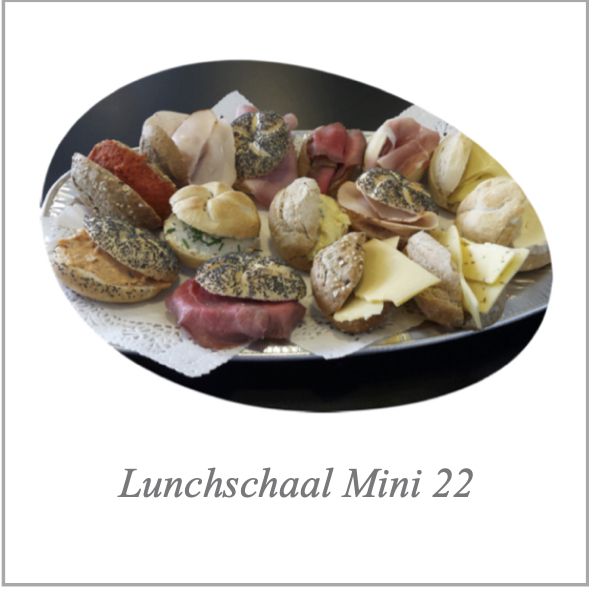 Lunchschaal Mini 22